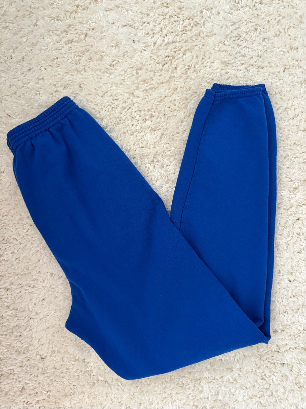 Hanes EcoSmart Vibrant Blue Sweatpants